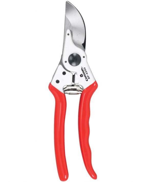 Corona BP4250